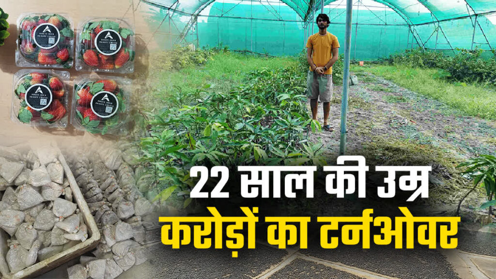 1200 675 22221509 thumbnail 16x9 purnea