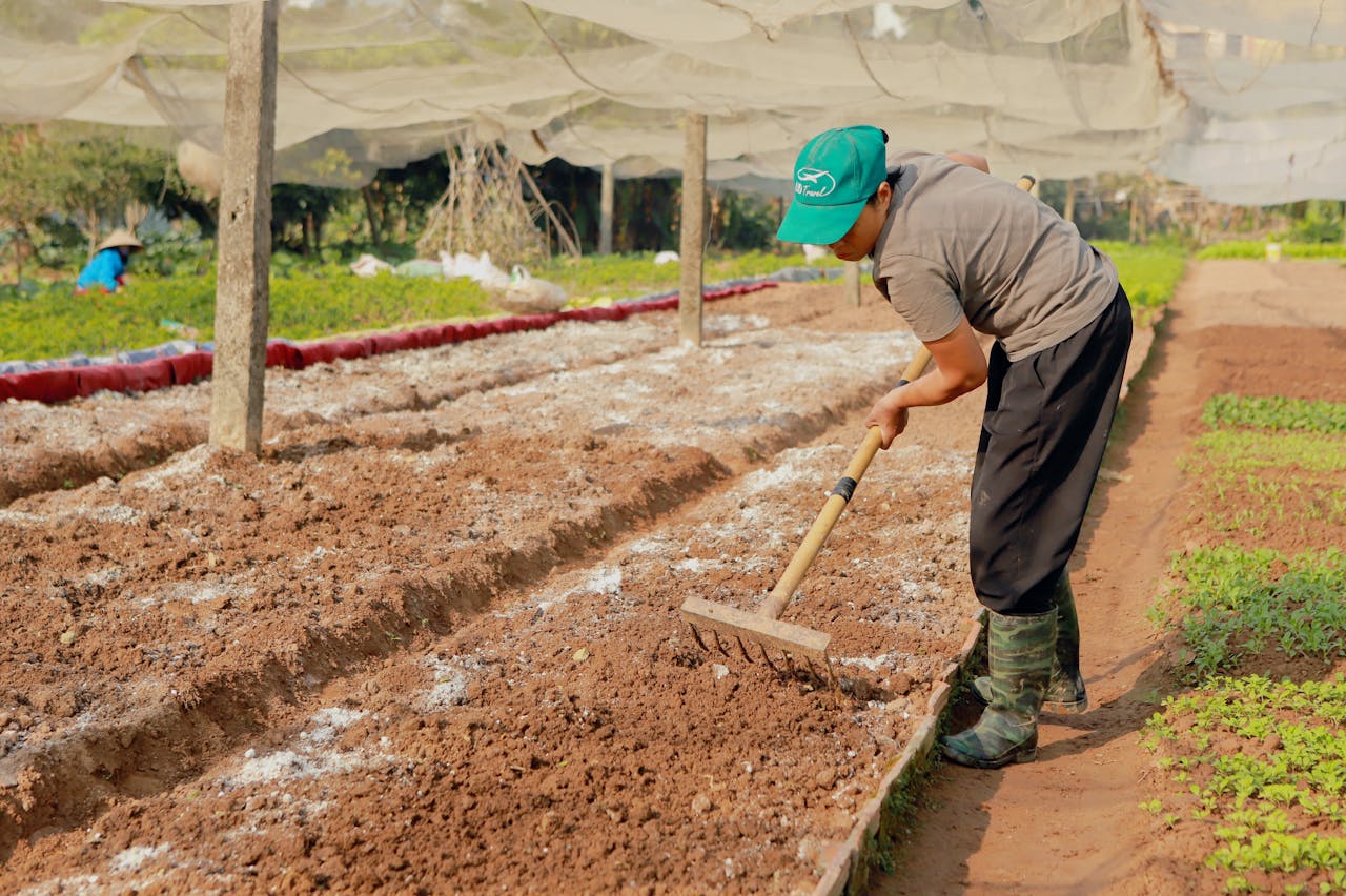 A farmer wearing a green cap and boots works the soil in a sunlit outdoor garden.